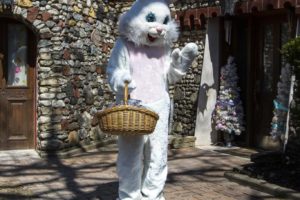 Easter Bunny at Bettendorf Castle