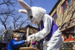 Easter Bunny Mchenry County
